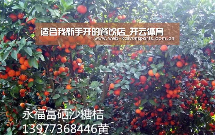 开云体育
